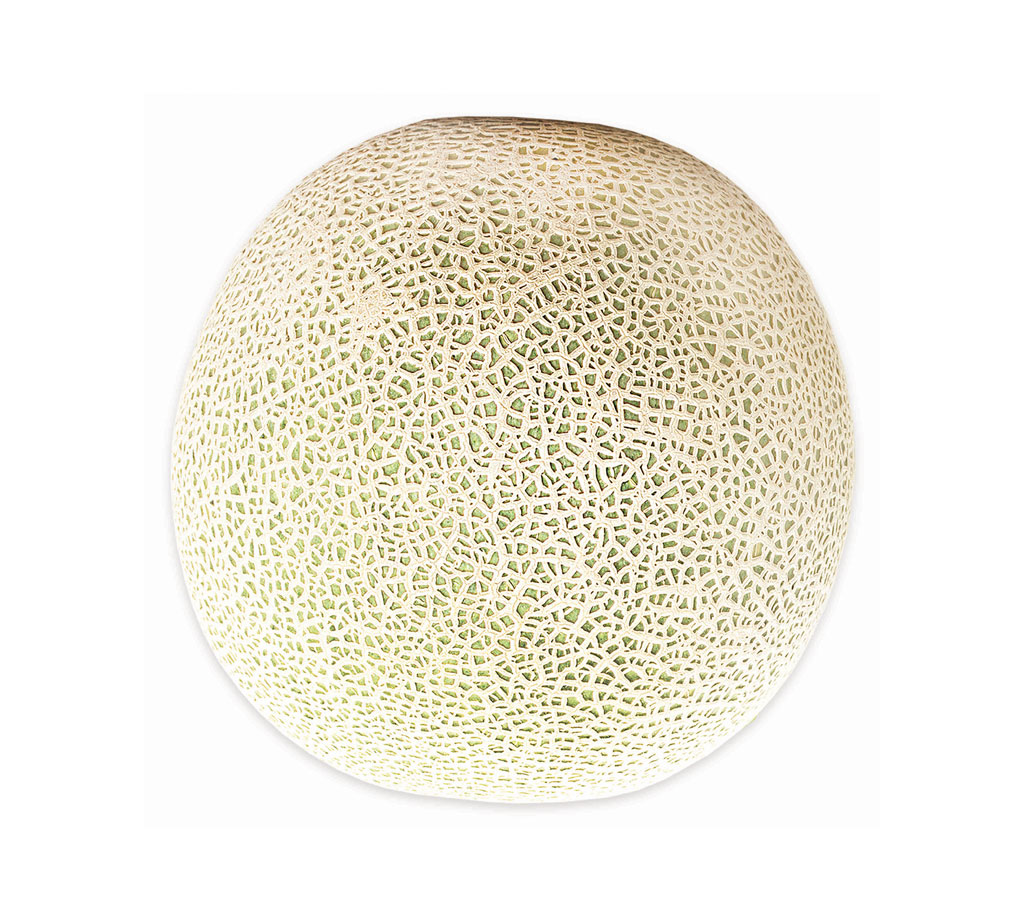 product image2 product image2